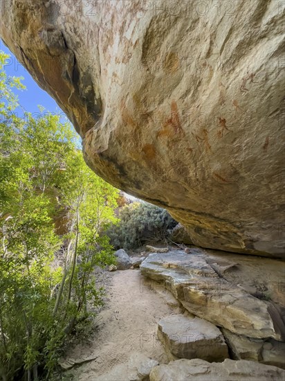 Prehistoric depiction on a rock, San rock paintings, Sevilla Art Rock Trail, Cederberg Mountains, near Clanwilliam, Western Cape, South Africa, Africa