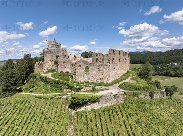 Aerial view of Staufen Castle, on a vineyard, Schlossberg, Staufen im Breisgau, Markgraeflerland, Black Forest, Baden-Wuerttemberg, Germany, Europe