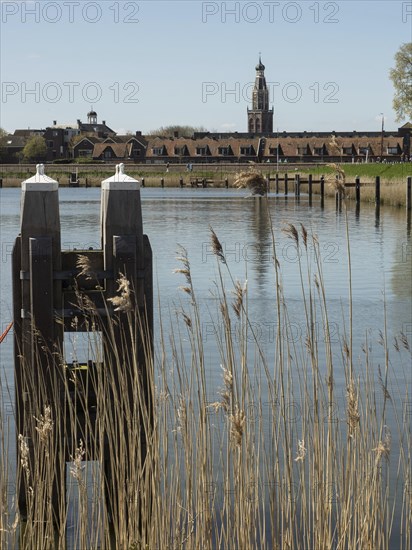 Reeds at the edge of a body of water with a view of a town and its striking tower, Enkhuizen, Nirderlande