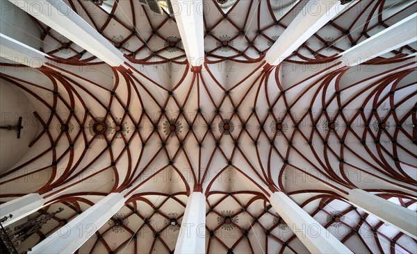 Ribbed vault, church ceiling, ceiling, St Thomas' Church, Leipzig, Saxony, Germany, Europe