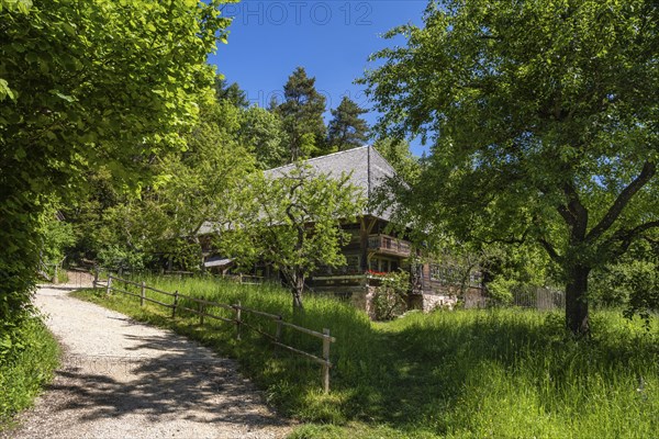 Traditionally built, old Black Forest house, Haldenhof, built around 1669, original location: Schonach in the Black Forest, open-air museum Neuhausen ob Eck, district of Tuttlingen, Baden-Wuerttemberg, Germany, Europe