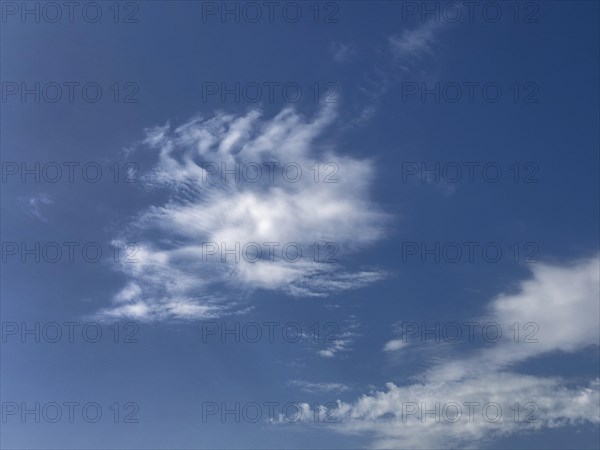 Clouds Veil clouds Feather clouds Cirrus in front of blue sky, international