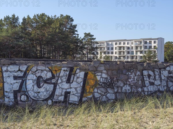 A stone wall with colourful graffiti in front of a modern building, framed by pine trees and tufts of grass, Ruegen, Germany, Europe