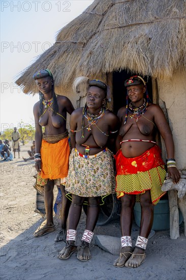 Three Hakaona woman with traditional kapapo hairstyle and hair ornaments with ostrich feathers, in front of their mud hut, in the morning light, Angolan tribe of the Hakaona, near Opuwo, Kunene, Namibia, Africa