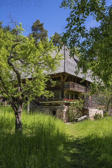 Traditionally built, old Black Forest house, Haldenhof, built around 1669, original location: Schonach in the Black Forest, open-air museum Neuhausen ob Eck, district of Tuttlingen, Baden-Wuerttemberg, Germany, Europe