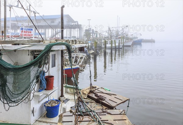 Commercial shrimp boats at the dock in the commercial area of the Biloxi Small Craft Harbor in Biloxi, Mississippi, United States of America, USA, North America