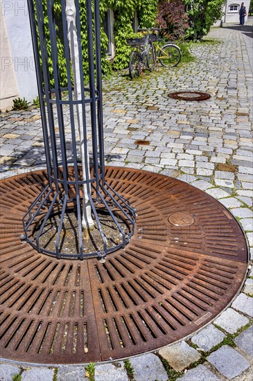 Large iron guard around small tree on cobblestone pavement, Kempten, Allgaeu, Bavaria, Germany, Europe