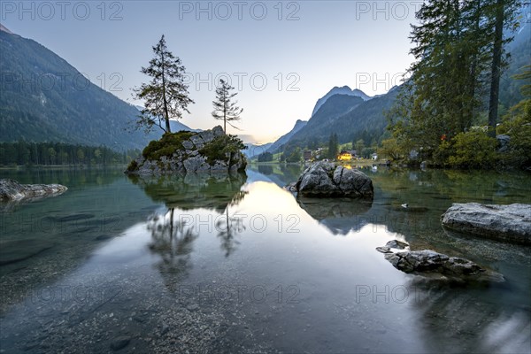 Rocky island with two trees in the lake, reflection in Hintersee, at sunset, Berchtesgaden National Park, Ramsau, Upper Bavaria, Bavaria, Germany, Europe