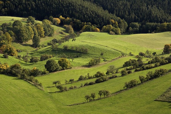 Landscape in Saaleholzland with a view from the keep of Leuchtenburg Castle