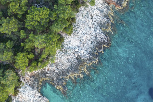 Coast with turquoise water, island of Hvar, Dalmatia, Croatia, Europe