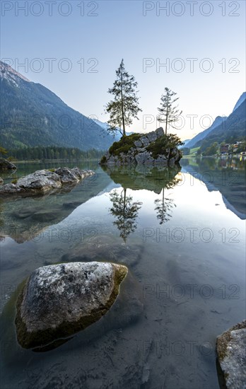 Rocky island with two trees in the lake, reflection in Hintersee, at sunset, Berchtesgaden National Park, Ramsau, Upper Bavaria, Bavaria, Germany, Europe