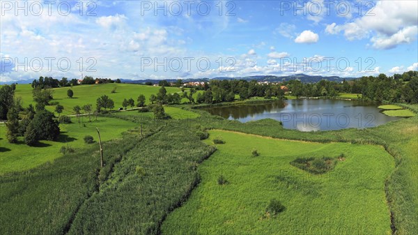 Aerial view of the Bachtelweiher near Kempten with a view of the Allgäu Alps. Sankt Mang, Kempten, Bavaria, Germany, Europe