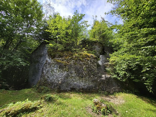 The Dengelstein (also: Denkelstein) is a boulder in the Kempten Forest. Betzenried, Durach, Kempten, Bavaria, Germany, Europe