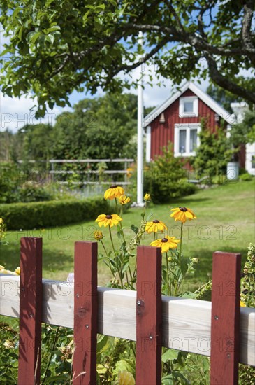 Typical red wooden house, surrounded by a beautiful garden, in the small Swedish coastal town of Pataholm. Typical wooden house, surrounded by a beautiful garden, in the small Swedish coastal town Pataholm