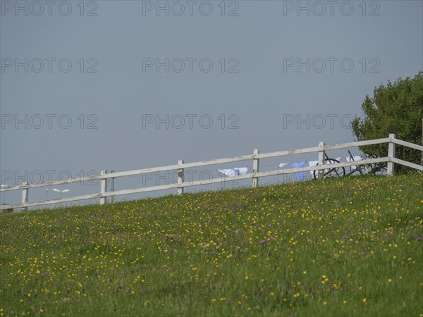 A white fence on a green field with flowers, in the background a washing line under a peaceful sky, hallig hooge, schleswig-holstein, germany