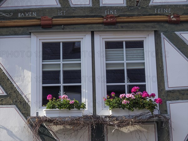 Window of a half-timbered house, decorated with pink flowers on the windowsill, Waldeck, Hesse, Germany, Europe