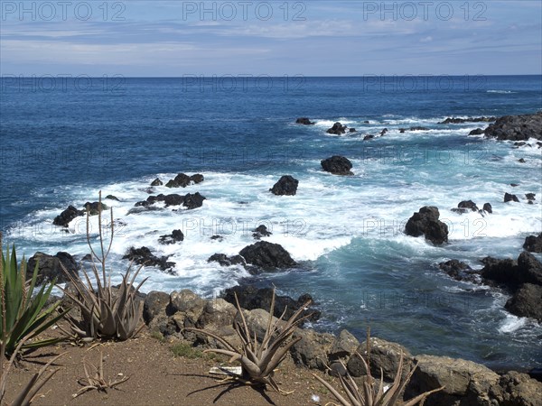 Stormy waves crash against the rocky coast under a clear sky, Puerto de la cruz, tenerife, spain