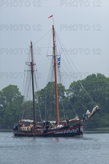 Sailing ship Fortuna, Ellenberg, Kappeln, Schlei, Schleswig-Holstein, Germany, Europe