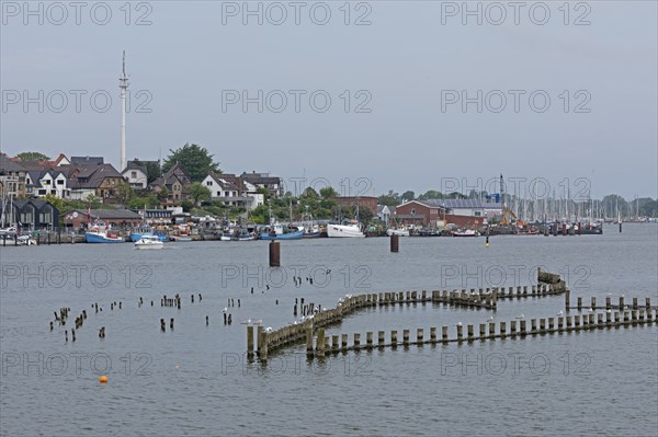 Herring fences, Kappeln, Schlei, Schleswig-Holstein, Germany, Europe