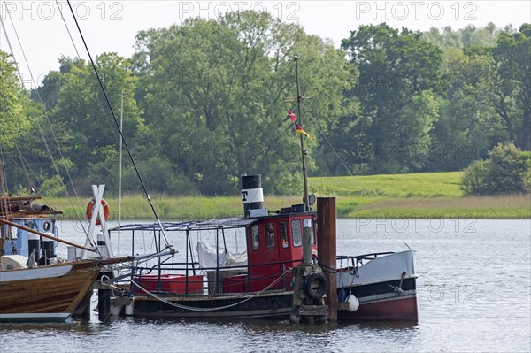 Boats, museum harbour, Kappeln, Schlei, Schleswig-Holstein, Germany, Europe