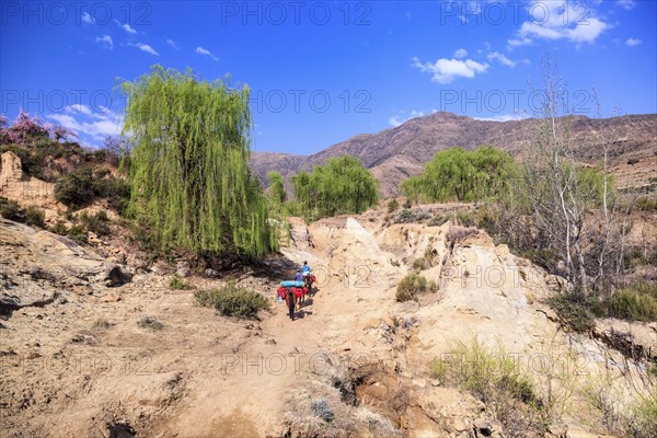 Rider with a packhorse in Lesotho Landscape