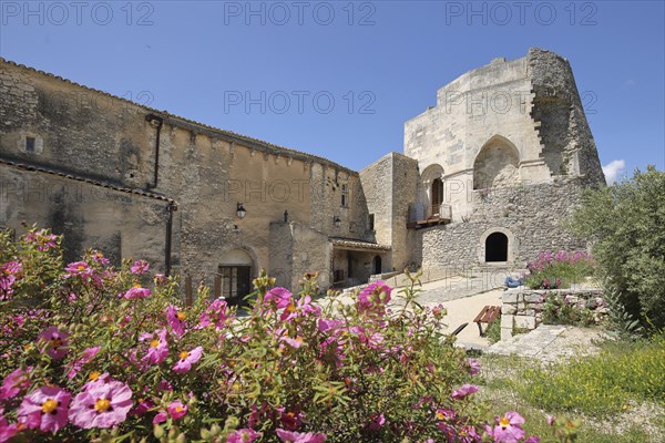 Inner courtyard with keep of the château built 14th century and blooming flowers, castle, château, chateau, Simiane-la-Rotonde, Alpes-de-Haute-Provence, Provence, France, Europe