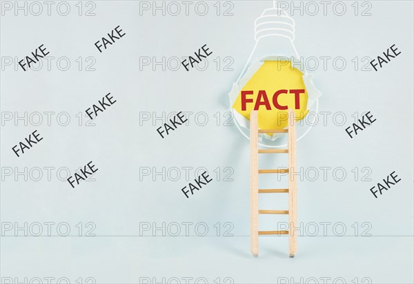 Ladder to the hole in the wall with the word fact, surrounded by fake news, propaganda and conspiracy theory concept, media and manipulation issue