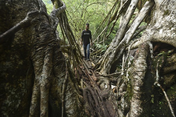 Tourists at the Bouble decker living root bridge amid COVID-19 coronavirus pandemic, in Nongriat village in Northeastern India state Meghalaya, on 19 April 2021. The living root bridges, created by the members of the Khasi tribe who have grown them from rubber trees, are native to the region. The double-decker root bridge, is the most famous one near Cherapunji