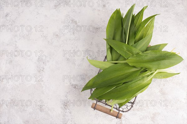 Pesto made from wild garlic, pine nuts and feta cheese in a glass, with fresh leaves on a textured background, empty space for text