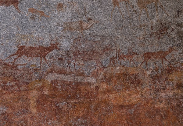 Historical paintings in the Nswatugi Cave, Matopos National Park southern Zimbabwe