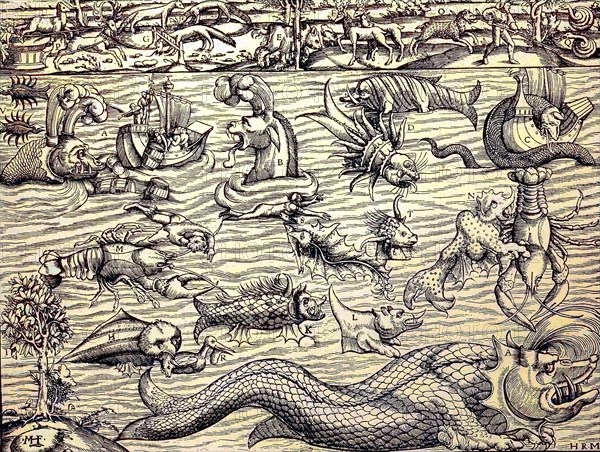 The wonder of the sea and its creatures, facsimile from Sebastian Münster's Cosmography, 1550, digital reproduction of an original from the 19th century, original date unknown