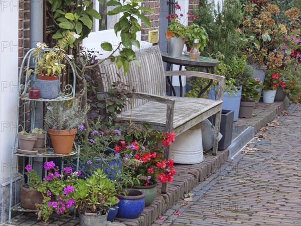 A wooden bench surrounded by various flower pots and plants on a house wall, Doesburg, Netherlands