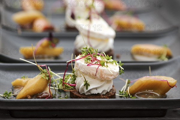 Appetizer dish from savory cream and goat cheese on pumpernickel bread with rhubarb pieces and sprout garnish served on black plates, selected focus, narrow depth of field