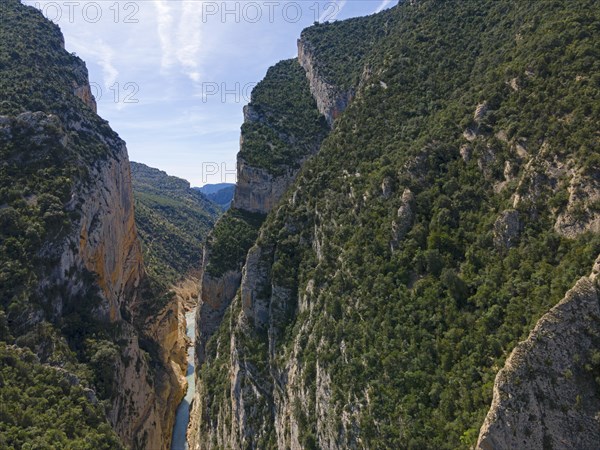 View of a river running through a mountainous region with rugged rock faces and lots of greenery, aerial view, Congost de Mont-rebei gorge, Noguera Ribagorçana Mont-rebei Natural Park, Montsec mountain range, Noguera Ribagorçana river, Lleida province, Catalonia, Aragon, Spain, Europe