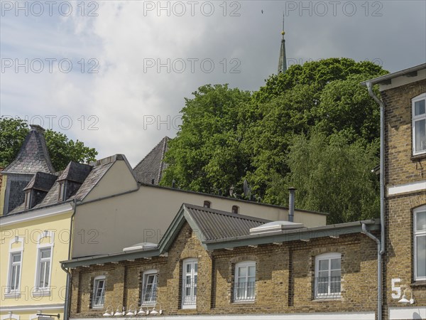 Building with roof and tree in the background under cloudy sky, Kappeln, SChleswig-Holstein, Germany, Europe