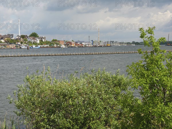 Riverbank with trees and view of the harbour with boats and buildings in the background, Kappeln, Schleswig-Holstein, Germany, Europe