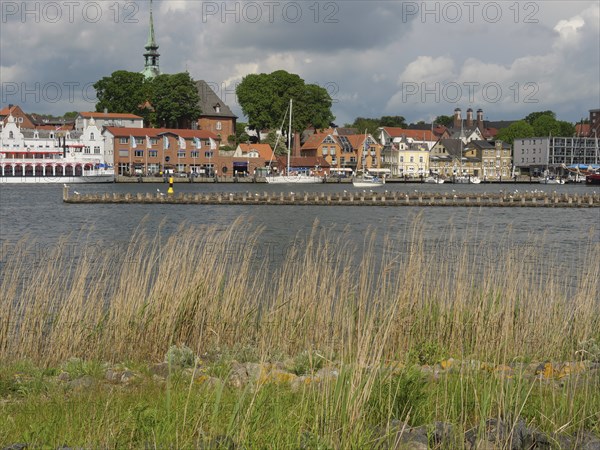 View over tall grass to a town with boats on the water and a church under a cloudy sky, Kappeln, Schleswig-Holstein, Germany, Europe