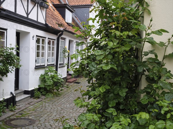 Narrow cobbled street between old half-timbered houses and lush green foliage, Kappeln, Schleswig-Holstein, Germany, Europe