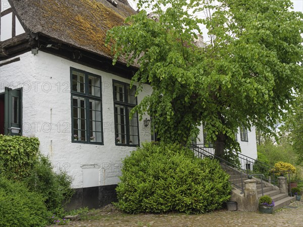 A large half-timbered house surrounded by plants and trees, with a rustic charm, Kappeln, Schleswig-Holstein, Germany, Europe