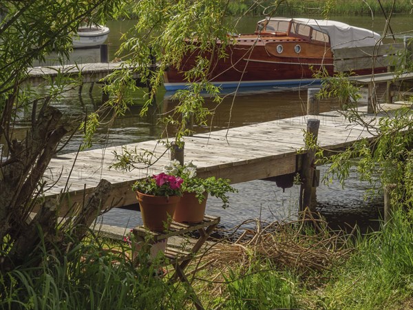 A jetty with flower pots leads to the water, where a boat is moored, in a natural setting, Kappeln, Schleswig-Holstein, Germany, Europe