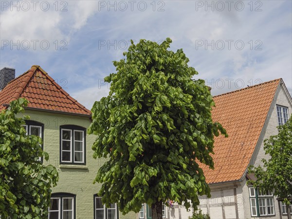 Houses with red tiled roofs and green trees under a cloudy sky, Kappeln, Schleswig-Holstein, Germany, Europe