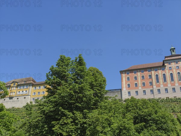 Castle buildings towering over green trees under a clear blue sky, Meersburg, Germany, Europe