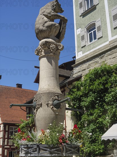 Stone fountain with a lion sculpture and flowers in front of a historic building, Meersburg, Lake Constance, Germany, Europe