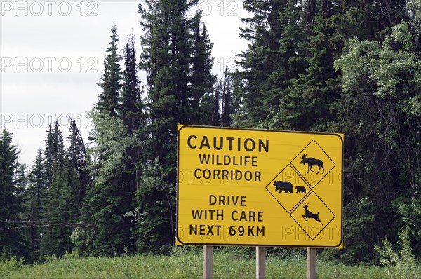 Traffic sign warning of a wildlife corridor to avoid car accidents with animals in the forest, bears, moose, Prince Rupert, Canada, North America