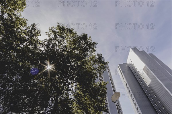 The sun shines through a green area in front of a block of flats, taken in Berlin, 07/08/2024