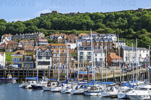 Marina and Harbour over Vincent Pier, Scarborough, North Yorkshire, England, United Kingdom, Europe