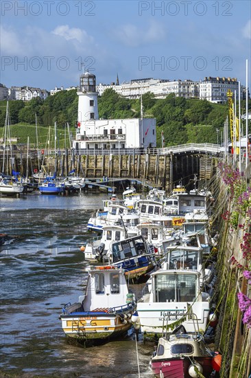 Scarborough Lighthouse and Harbour, Vincent Pier, Scarborough, North Yorkshire, England, United Kingdom, Europe