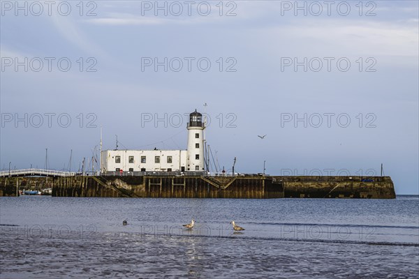 Scarborough Lighthouse and Harbour, Vincent Pier, Scarborough, North Yorkshire, England, United Kingdom, Europe