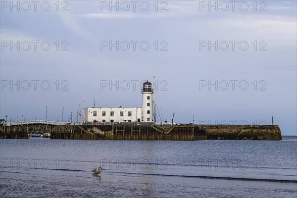 Scarborough Lighthouse and Harbour, Vincent Pier, Scarborough, North Yorkshire, England, United Kingdom, Europe