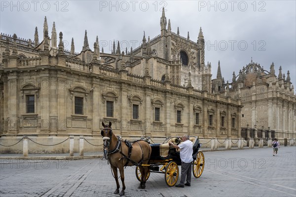 Horse-drawn carriage in front of Seville Cathedral, Catedral de Santa Maria de la Sede, Seville, Andalusia, Spain, Europe